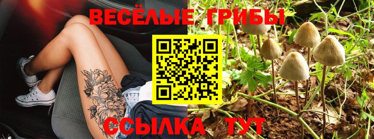Еманжелинск  Галлюциногенные грибы MAGIC MUSHROOMS  Вход с VPN  цена   Псилоцибиновые грибы Magic Shrooms 